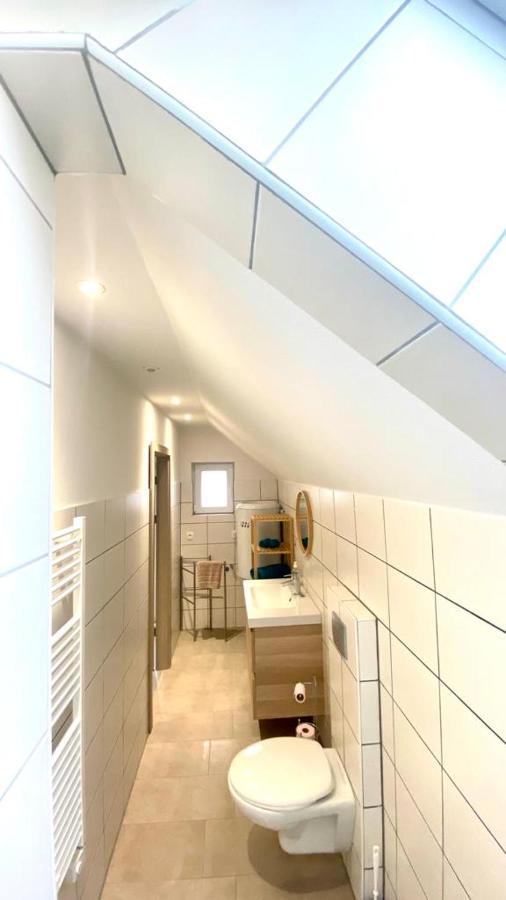 Appartement Colmar Cote Rhin à Biesheim Extérieur photo